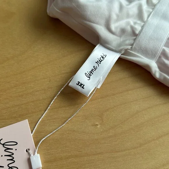 NWT Lime Ricki Pink Gingham Swimsuit 3X - Picture 10 of 11